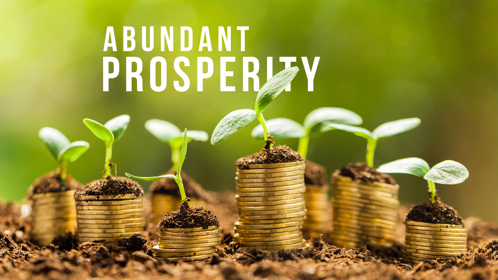 Sentence Using Prosperity Example